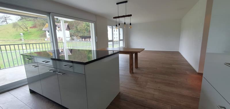 Moderne 3.5-Zimmer-Wohnung am Brauereiweg in Lenzburg mit Weitsicht (1)