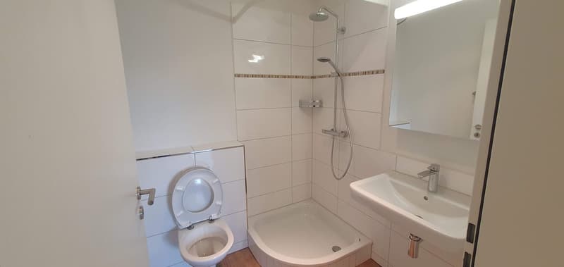 Moderne 3.5-Zimmer-Wohnung am Brauereiweg in Lenzburg mit Weitsicht (7)