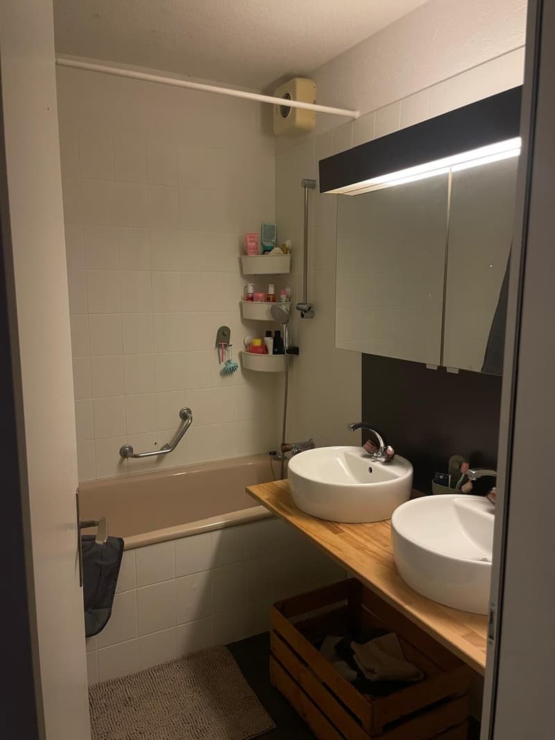 WG-Zimmer zu vermieten Nähe Rosengarten (5)