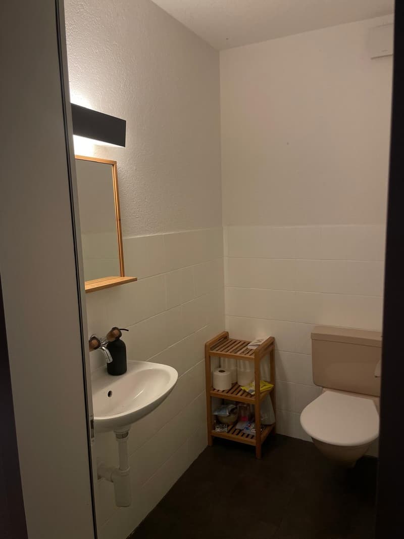 WG-Zimmer zu vermieten Nähe Rosengarten (6)
