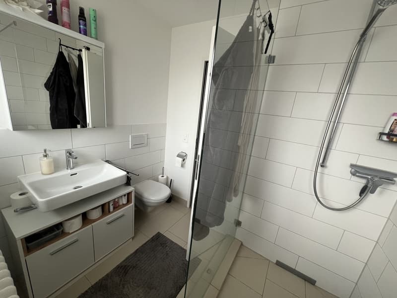 Nachmieter gesucht für eine Wohnung zentral in Dübendorf (5)