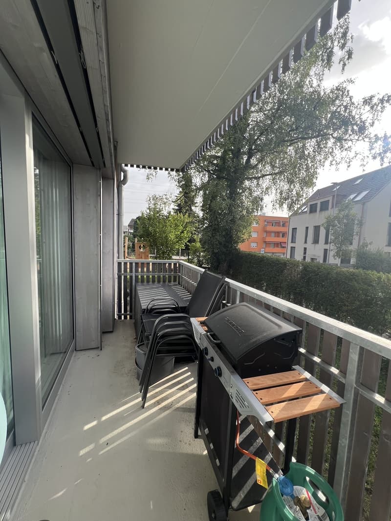 Nachmieter gesucht für eine Wohnung zentral in Dübendorf (10)
