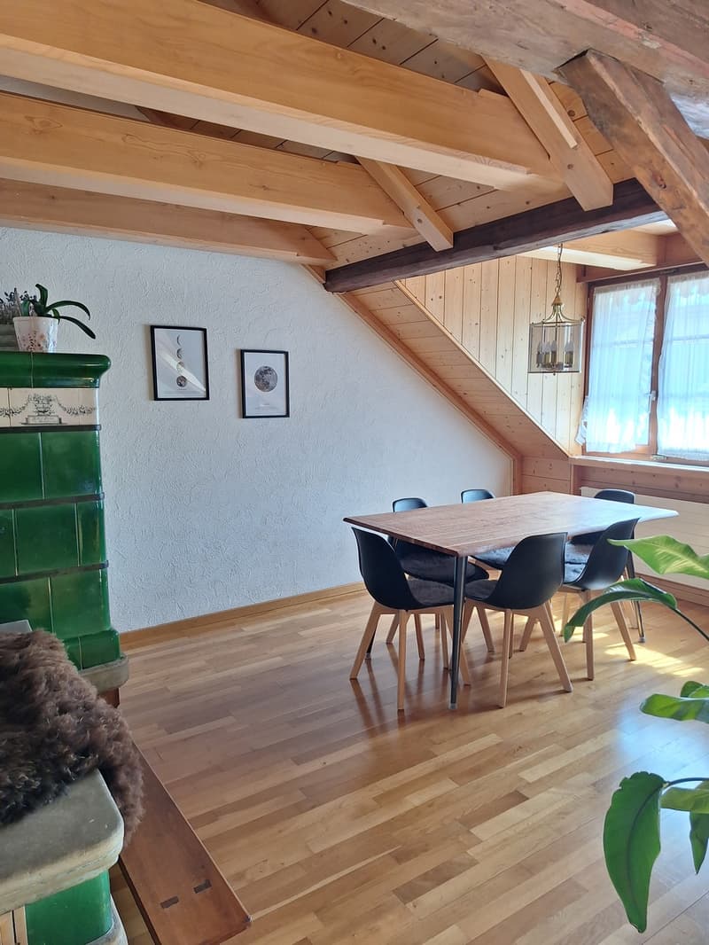 Nachmieter/in gesucht charmante 3.5-Zimmer-Dachwohnung (5)