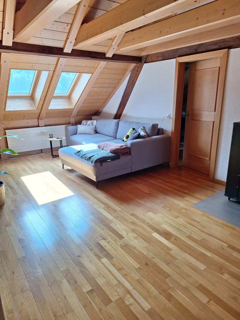 Nachmieter/in gesucht charmante 3.5-Zimmer-Dachwohnung (6)