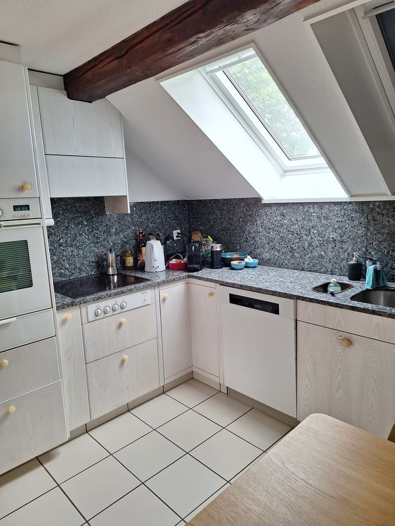 Nachmieter/in gesucht charmante 3.5-Zimmer-Dachwohnung (13)