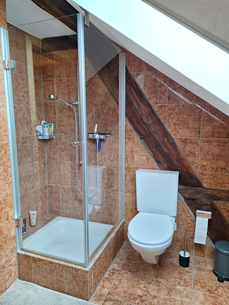 Nachmieter/in gesucht charmante 3.5-Zimmer-Dachwohnung (9)