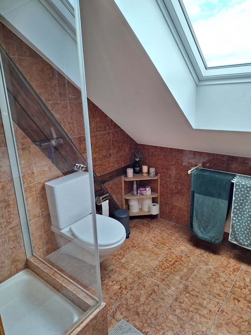 Nachmieter/in gesucht charmante 3.5-Zimmer-Dachwohnung (10)