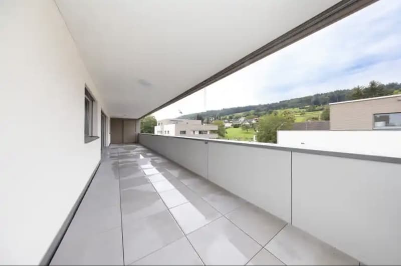 3 ½ Zimmer-Wohnung, 5734 Reinach AG (2)