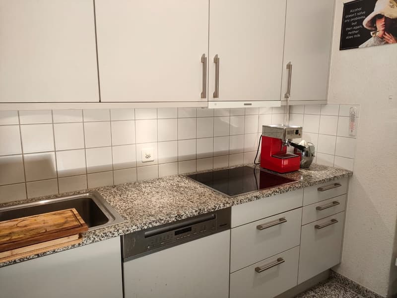 Ruhiges möbliertes Zimmer | Basel-Gellert | CHF 780/Monat (5)