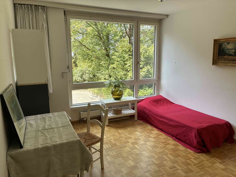 Ruhiges möbliertes Zimmer | Basel-Gellert | CHF 780/Monat (1)