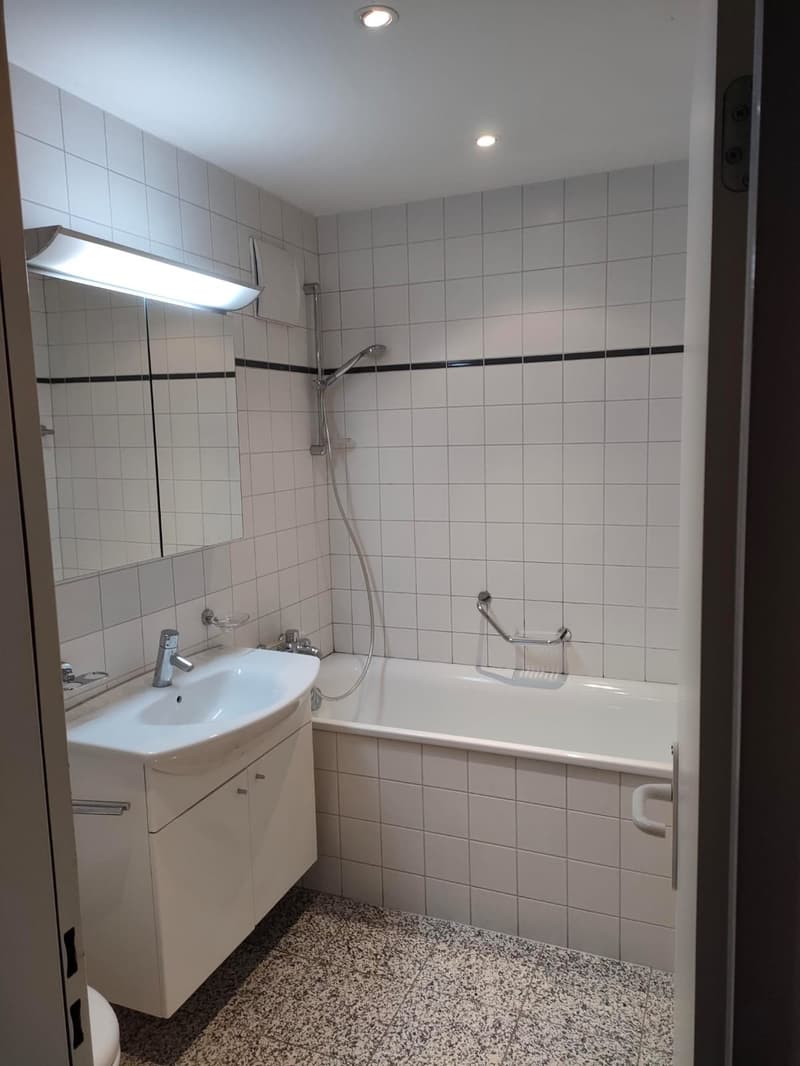Ruhiges möbliertes Zimmer | Basel-Gellert | CHF 780/Monat (4)