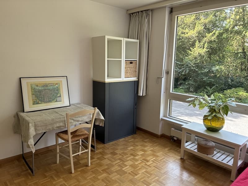 Ruhiges möbliertes Zimmer | Basel-Gellert | CHF 780/Monat (2)