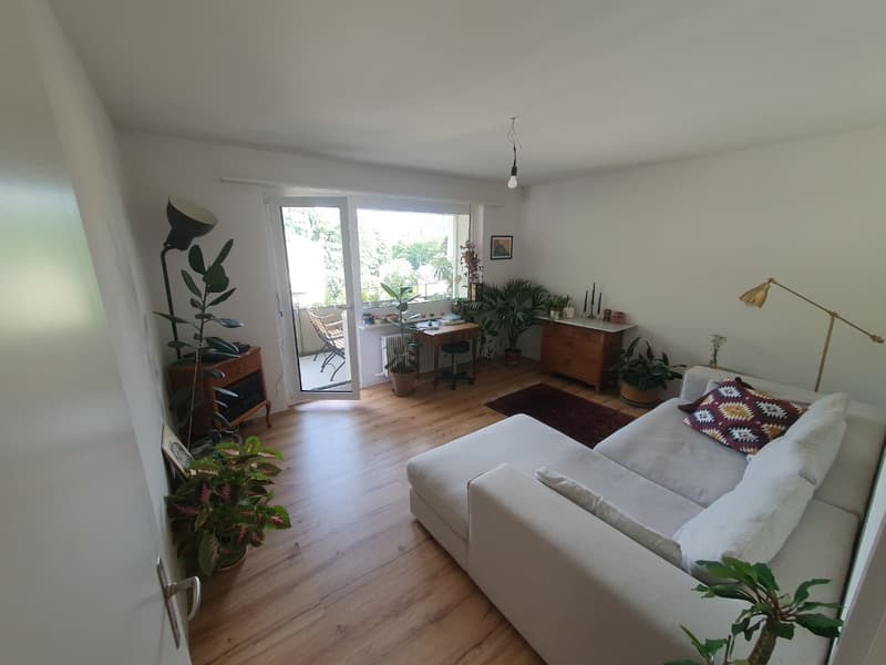 Zentrales, helles Zimmer an ruhiger Lage in Thun (4)