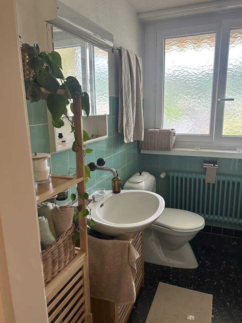 Schöne 2 Zimmerwohnung zu vermieten (6)