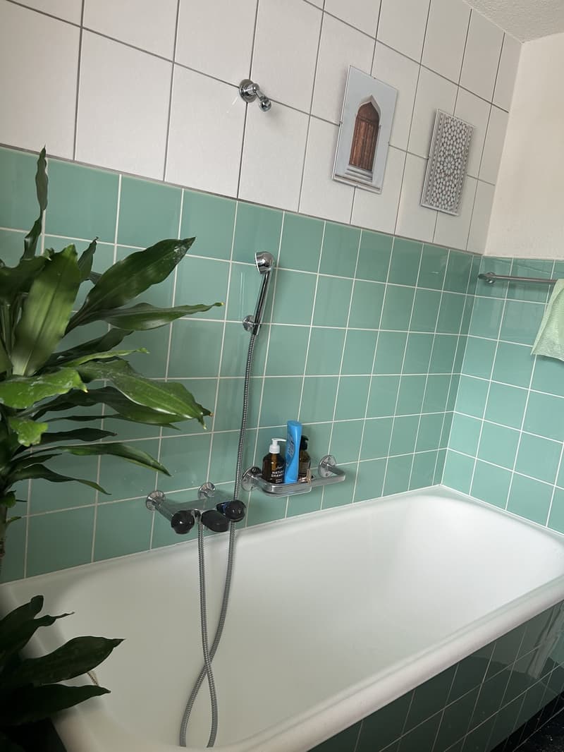 Schöne 2 Zimmerwohnung zu vermieten (5)