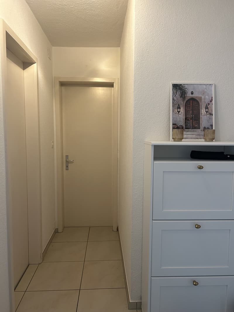 Schöne 2 Zimmerwohnung zu vermieten (9)