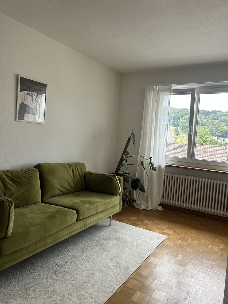 Schöne 2 Zimmerwohnung zu vermieten (3)