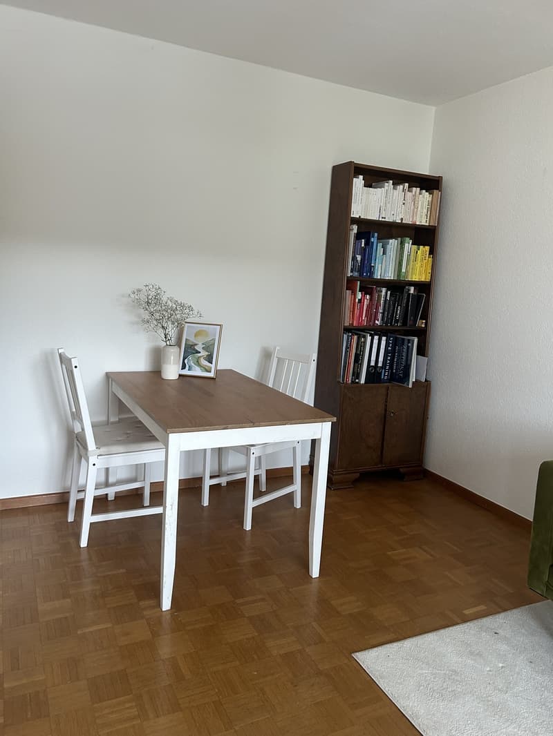 Schöne 2 Zimmerwohnung zu vermieten (4)