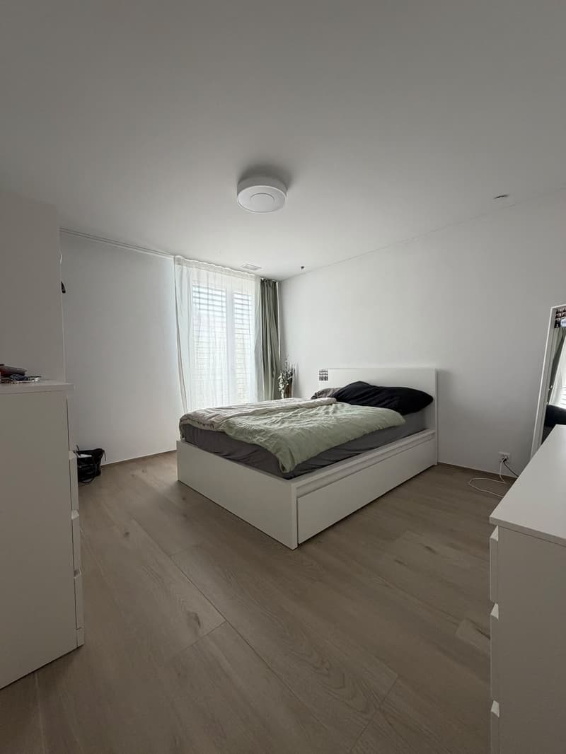 Moderne und helle 3.5-Zimmerwohnung (3)