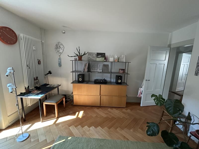 Charmante 2-Zimmerwohnung im Altbau  liebevoll renoviert (4)