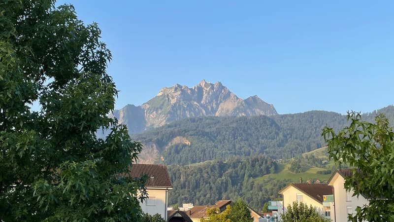 4-Zimmer-Wohnung in Horw (2)