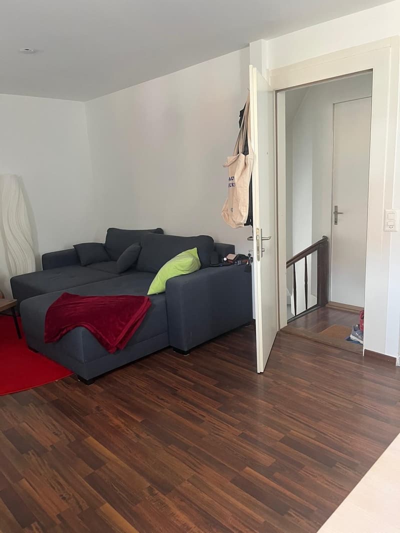 2.5-Zimmer-Wohnung im Zentrum von Wädenswil (3)