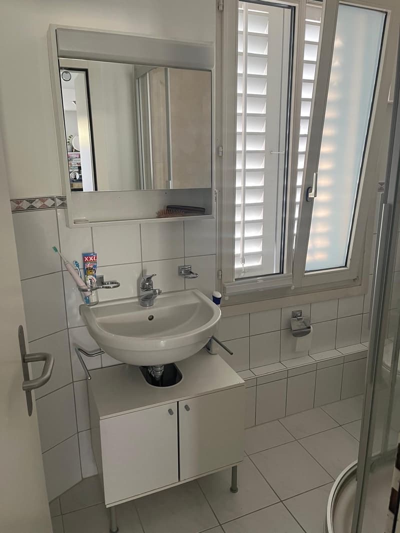 2.5-Zimmer-Wohnung im Zentrum von Wädenswil (9)