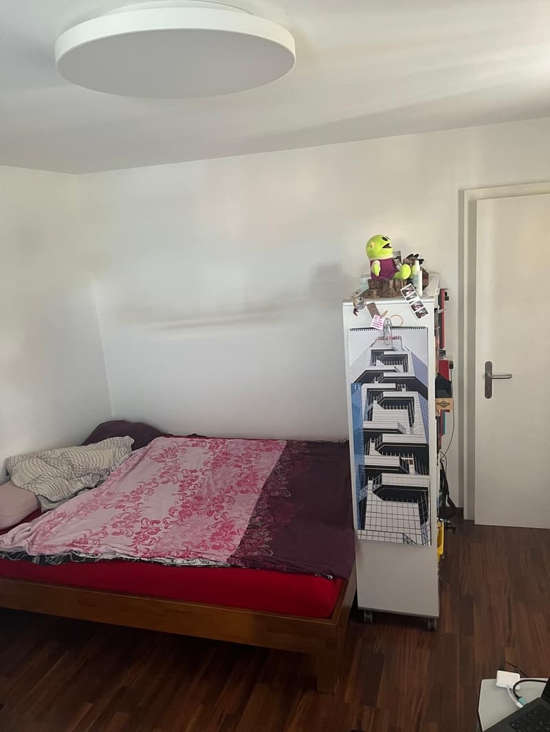 2.5-Zimmer-Wohnung im Zentrum von Wädenswil (4)