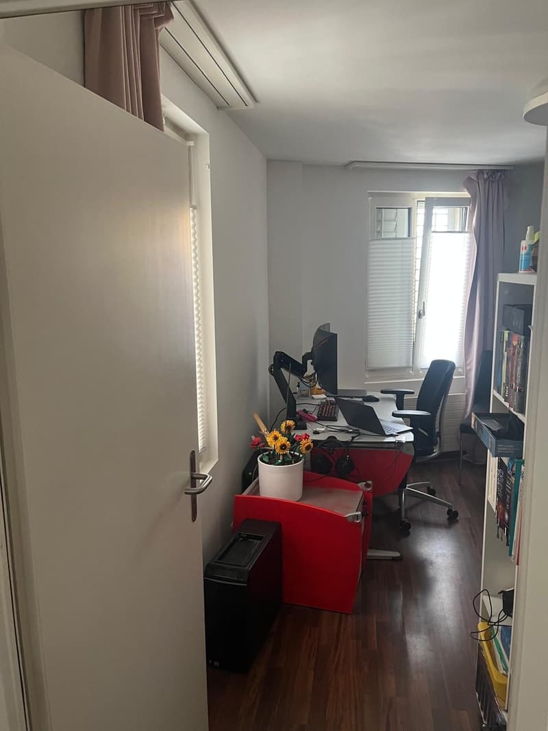 2.5-Zimmer-Wohnung im Zentrum von Wädenswil (5)