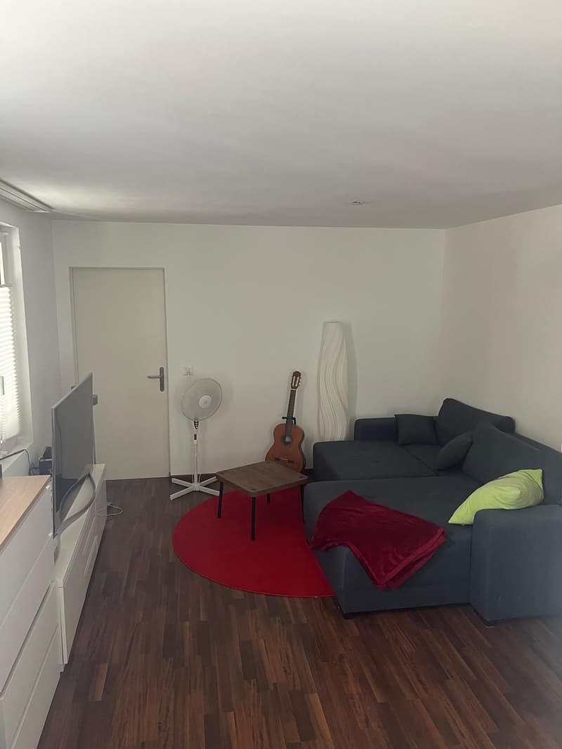 2.5-Zimmer-Wohnung im Zentrum von Wädenswil (6)
