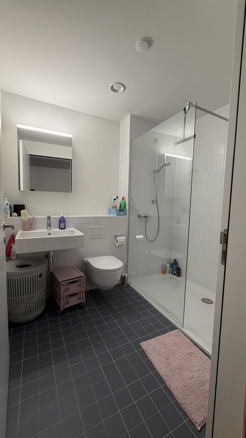 Dein neues Zuhause in Wipkingen  hell, ruhig & modern (6)