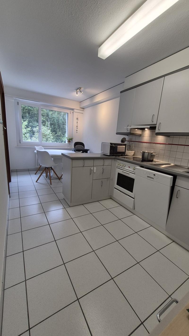 4.5 Zi.-Wohnung Würzenbachquartier (Stadt Luzern) (7)