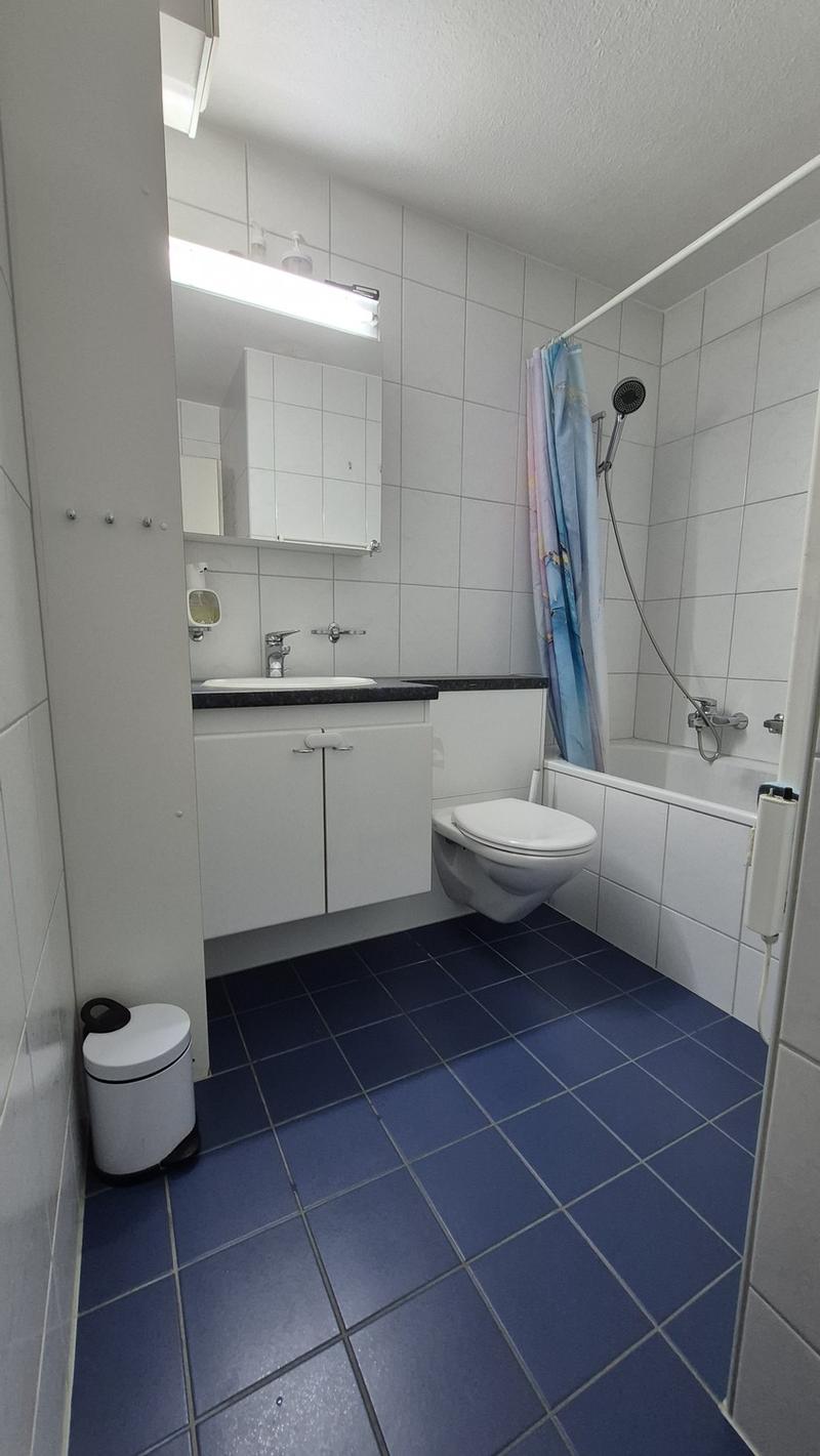 4.5 Zi.-Wohnung Würzenbachquartier (Stadt Luzern) (4)