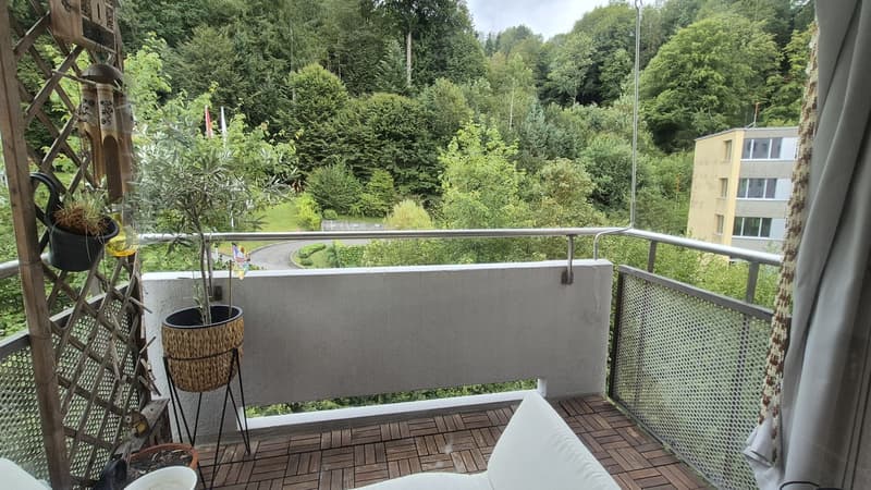 4.5 Zi.-Wohnung Würzenbachquartier (Stadt Luzern) (9)
