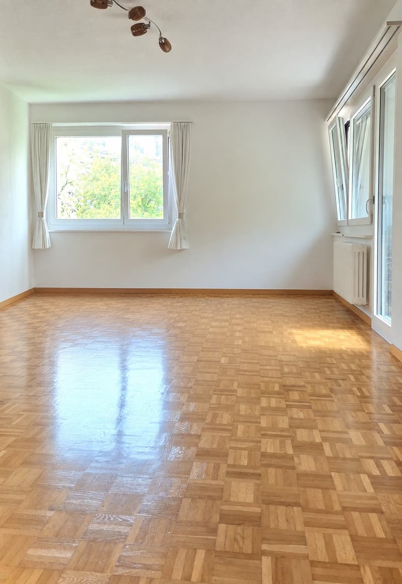 4.5 Zi.-Wohnung Würzenbachquartier (Stadt Luzern) (3)