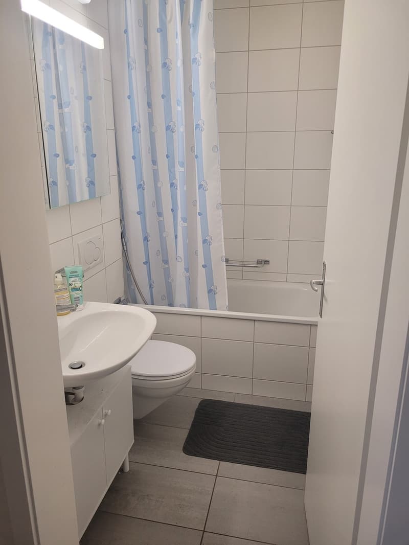 Room in a shared flat, 4058 Basel (7)