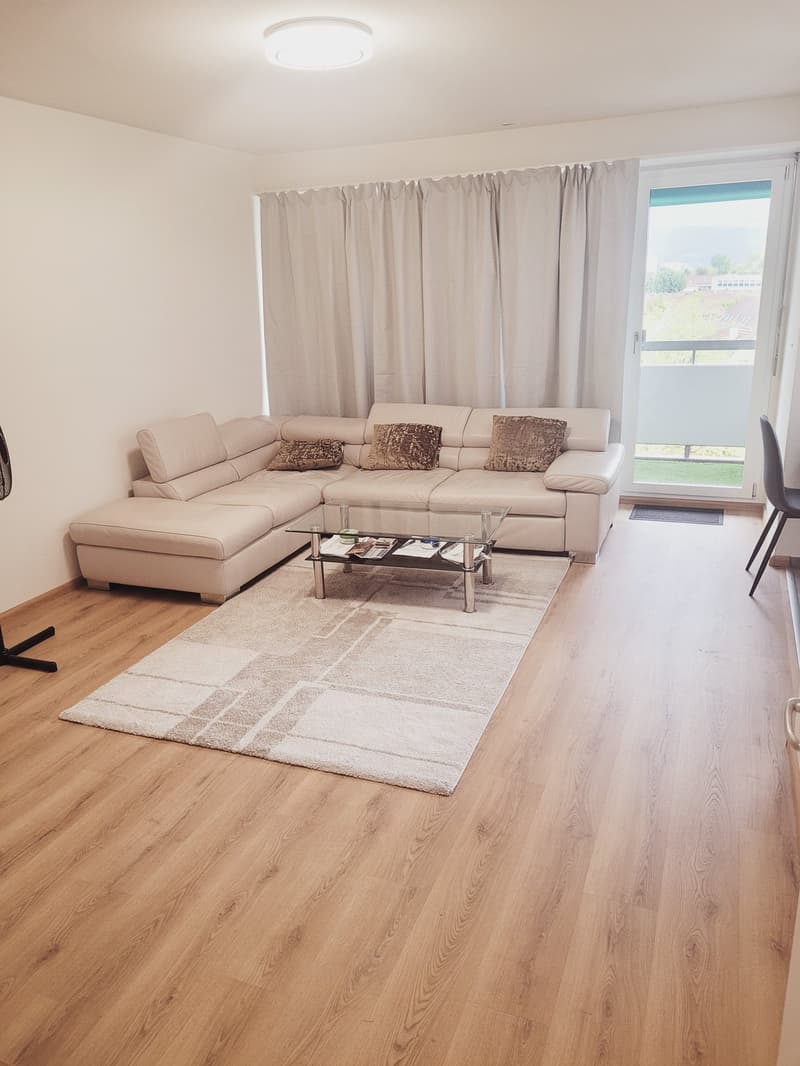 Room in a shared flat, 4058 Basel (1)