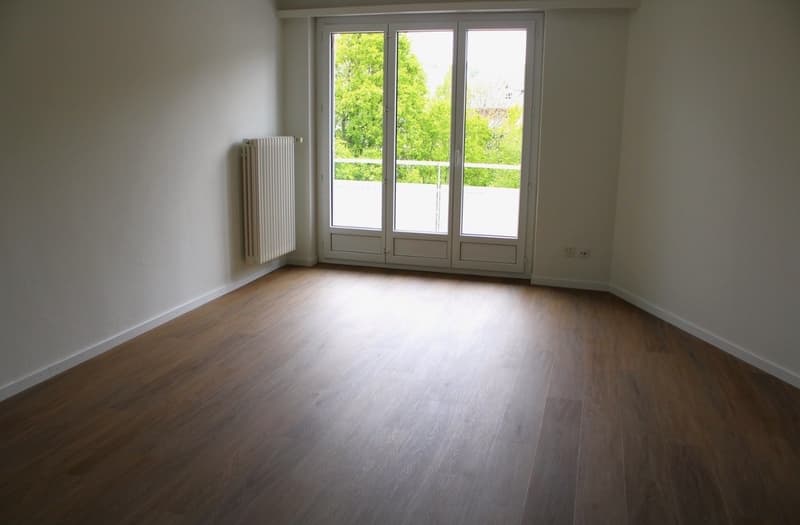 Schöne renovierte 2.5-Zimmerwohnung in Egg Nachmieter per 1. November 2026 gesucht (1)