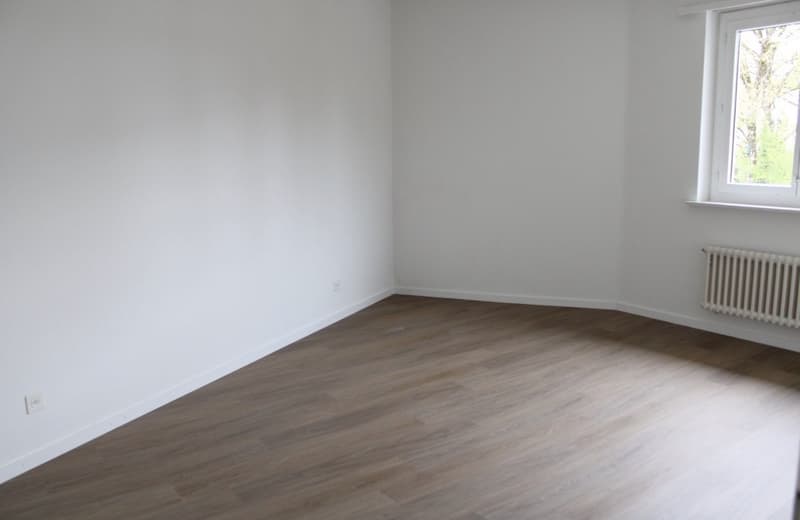 Schöne renovierte 2.5-Zimmerwohnung in Egg Nachmieter per 1. November 2026 gesucht (6)