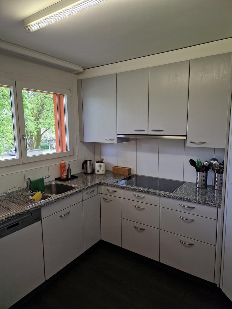WG-Zimmer in Dietikon (3)