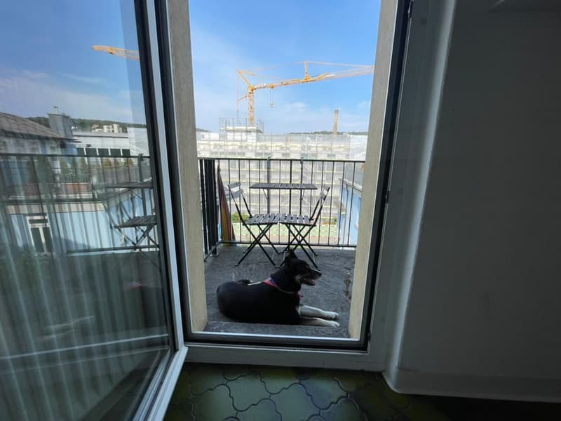 Large and bright room near Stadelhofen! (8)