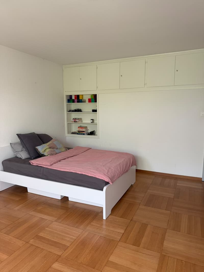 Large and bright room near Stadelhofen! (4)