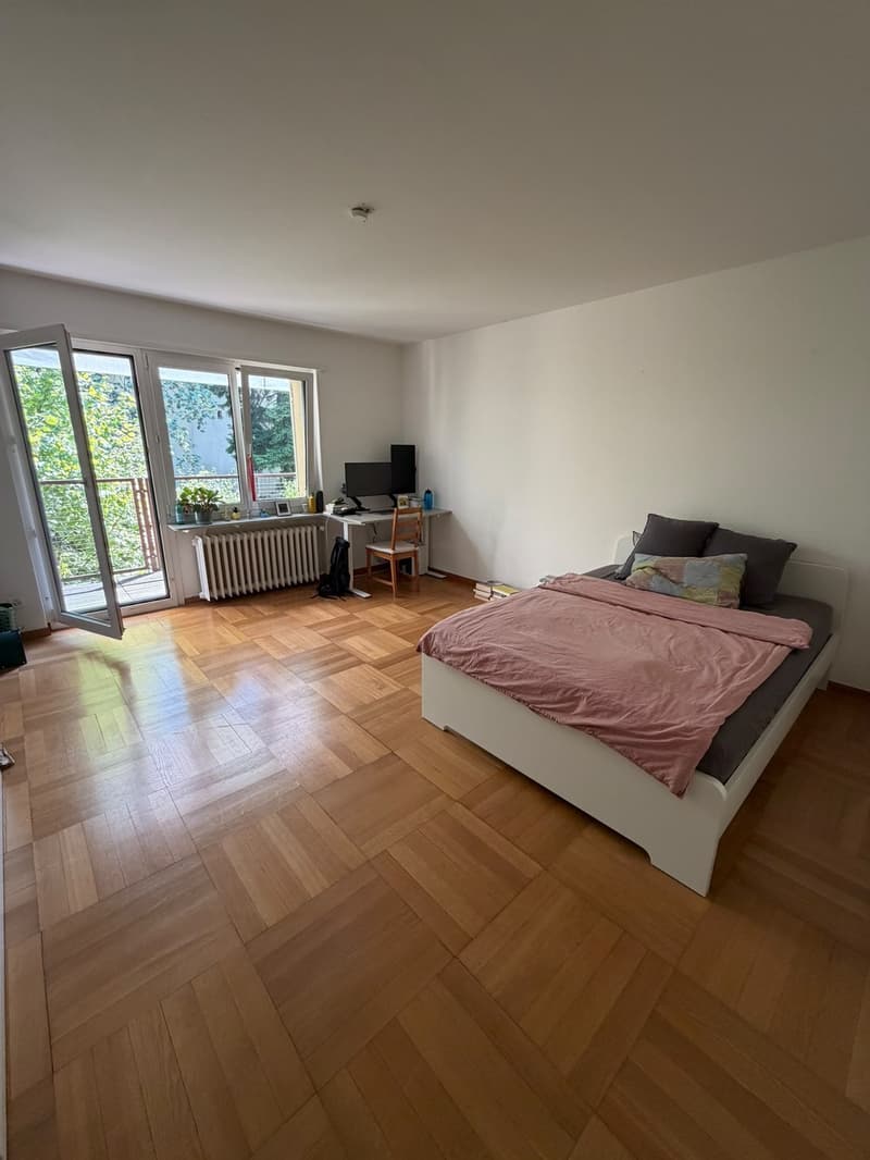 Large and bright room near Stadelhofen! (2)