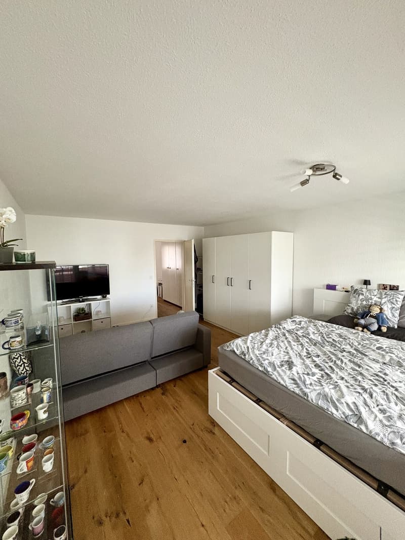 Moderne 1.5-Zimmer-Wohnung in bester Lage in Bassersdorf (ZH) (2)