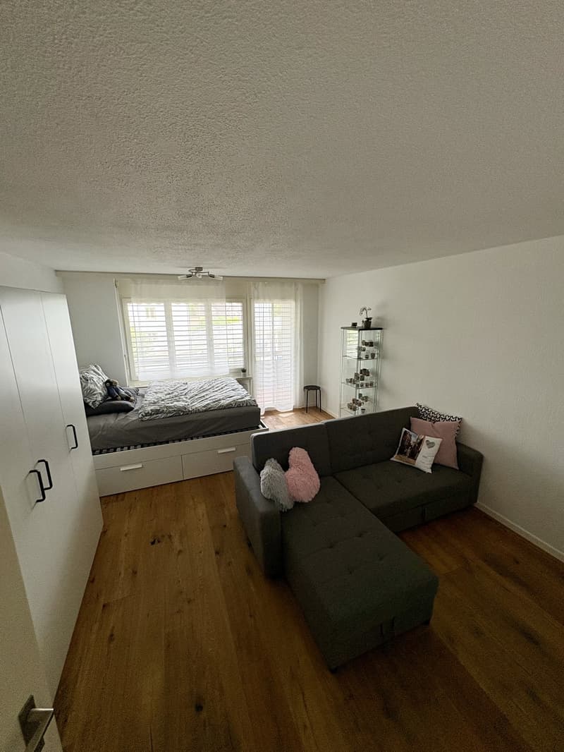 Moderne 1.5-Zimmer-Wohnung in bester Lage in Bassersdorf (ZH) (1)