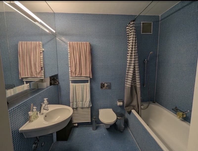 Temporary stay in a comfortable shared apartment (7)