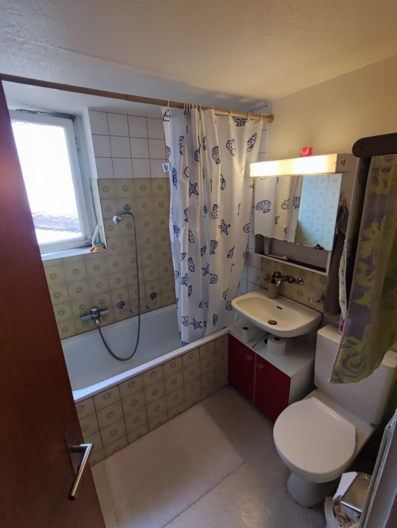 Room in Wadenswil for 550 CHF (3)