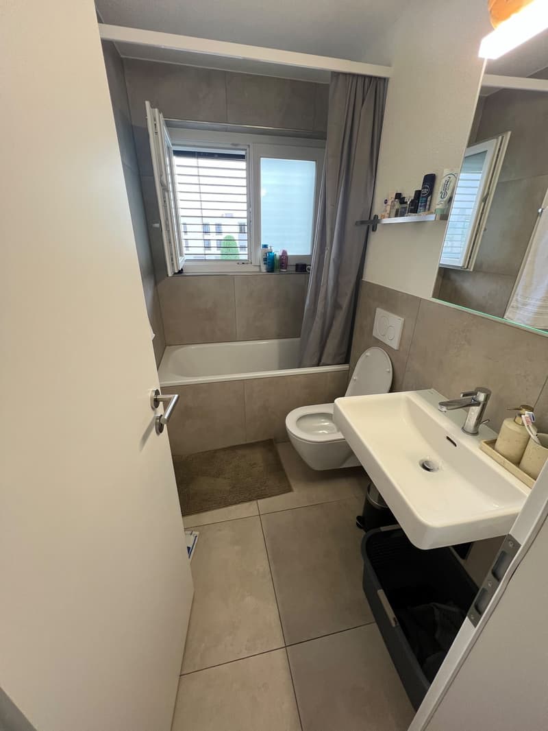1 ½ Zimmer-Wohnung, 6242 Wauwil (3)