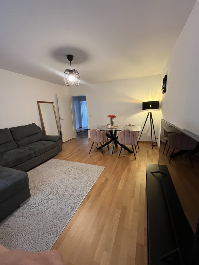 2 Zimmer-Wohnung, 6003 Luzern (7)