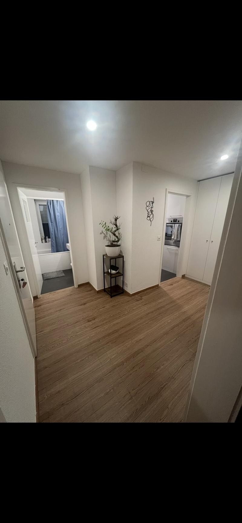2 Zimmer-Wohnung, 6003 Luzern (5)